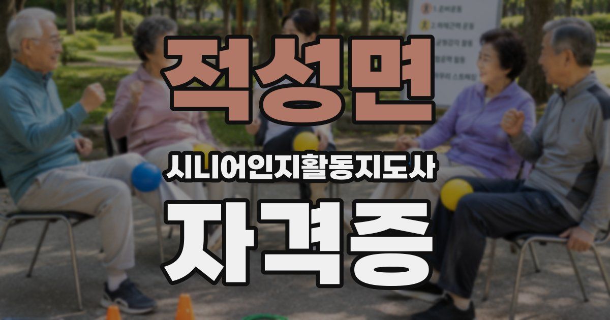 적성면 시니어인지활동지도사 자격증