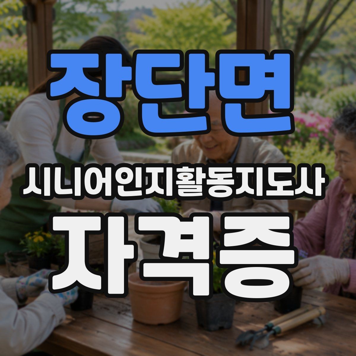 장단면 시니어인지활동지도사 자격증 시험 준비용 핵심 정리표