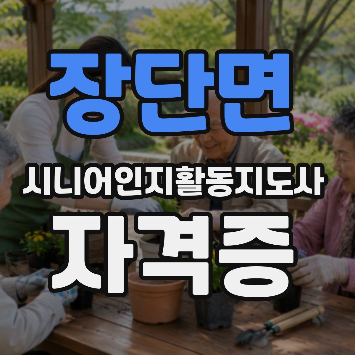 장단면 시니어인지활동지도사 자격증