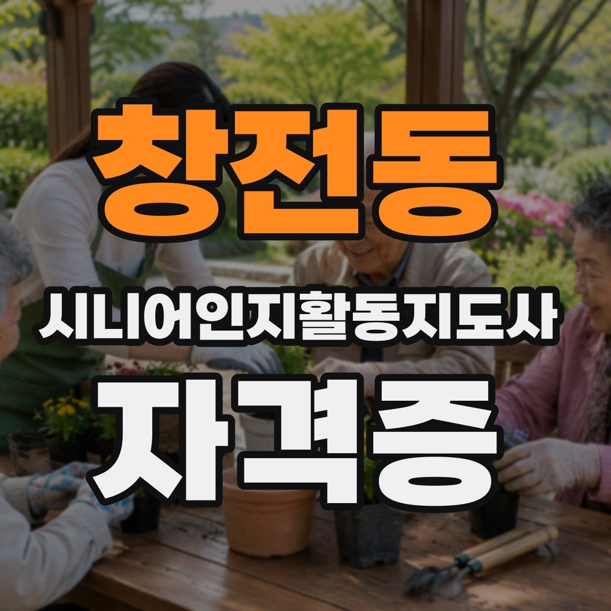 창전동 시니어인지활동지도사 자격증