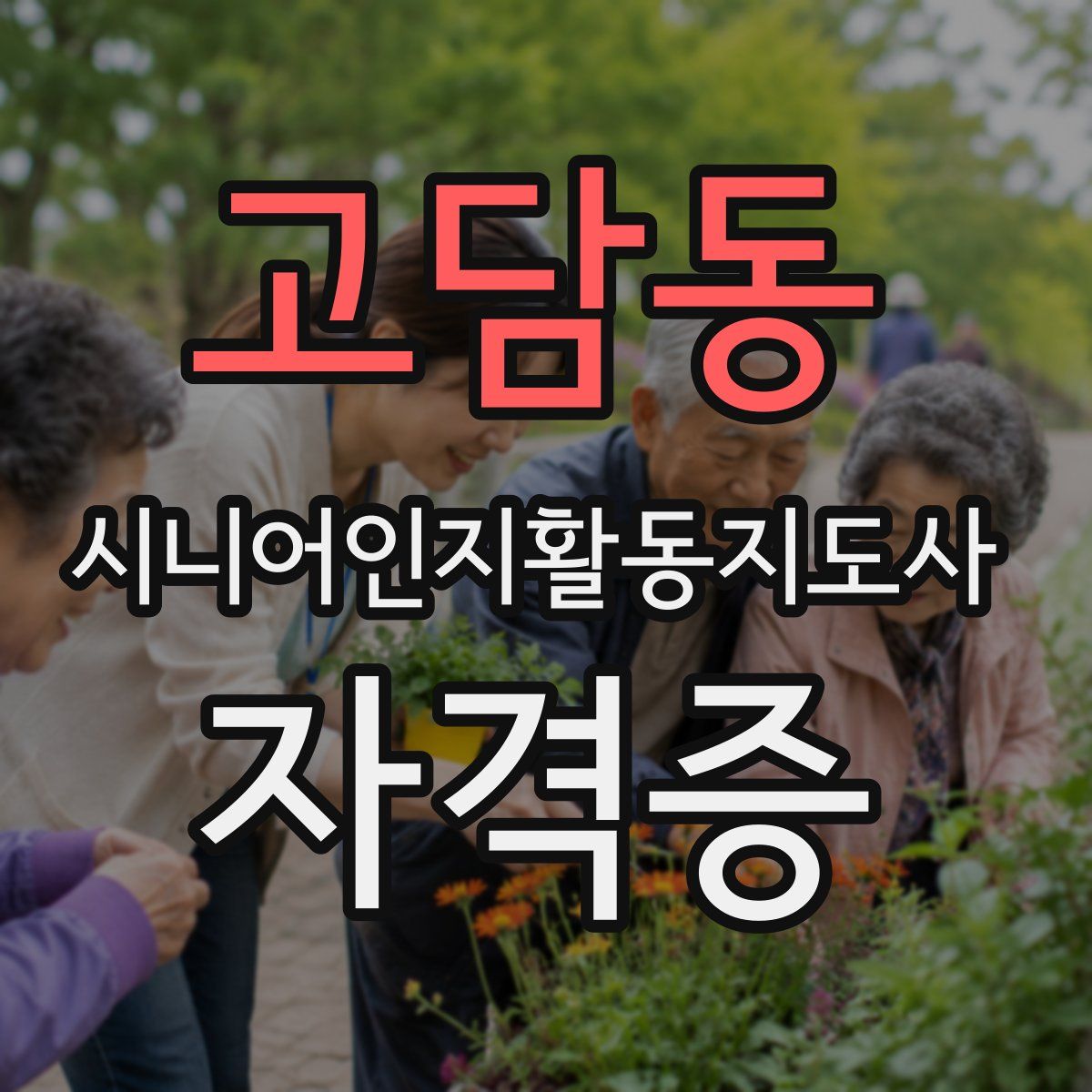 고담동 시니어인지활동지도사 자격증