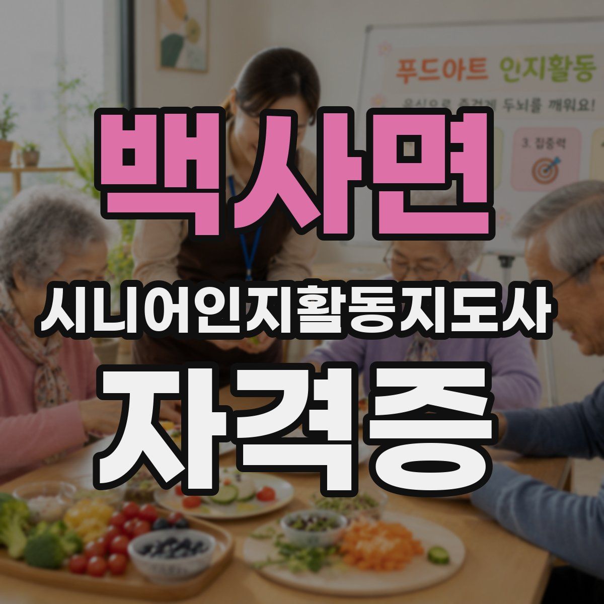 백사면 시니어인지활동지도사 자격증