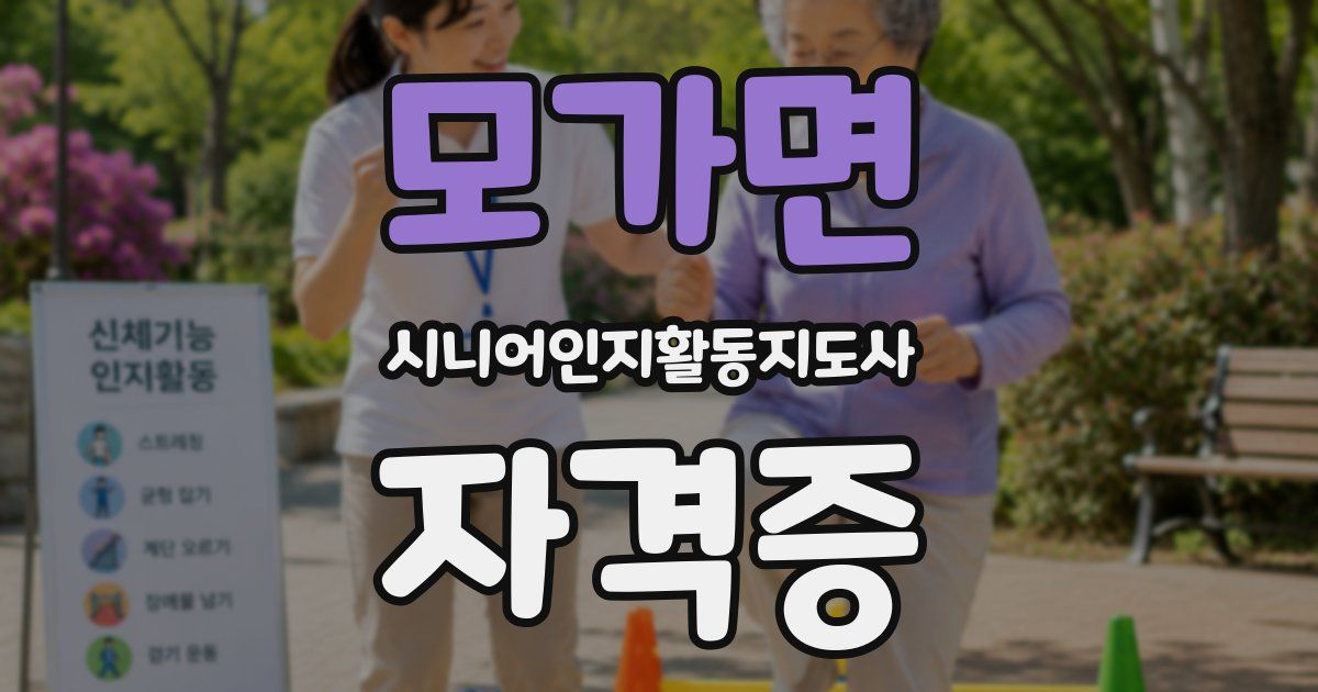 모가면 시니어인지활동지도사 자격증