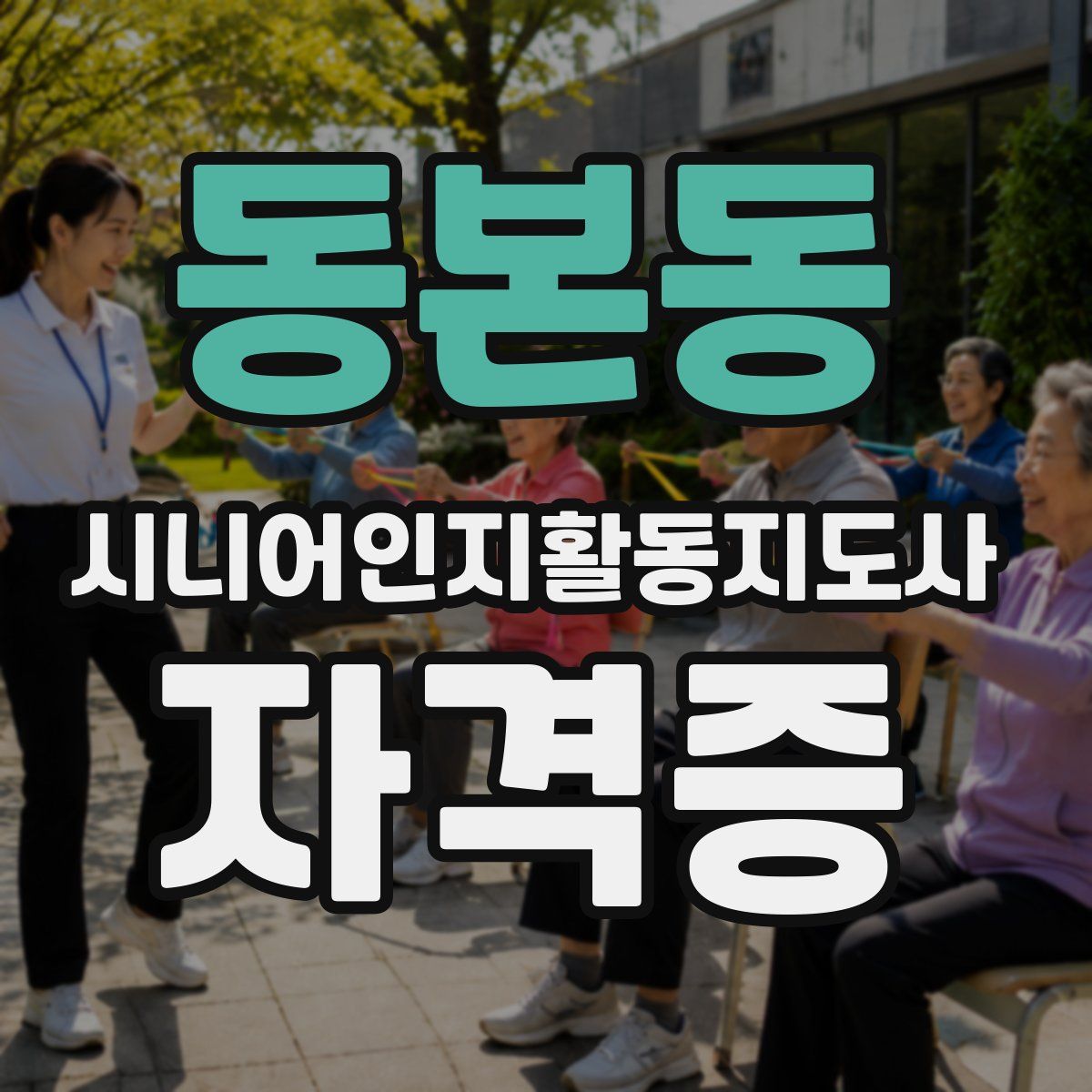 동본동 시니어인지활동지도사 자격증