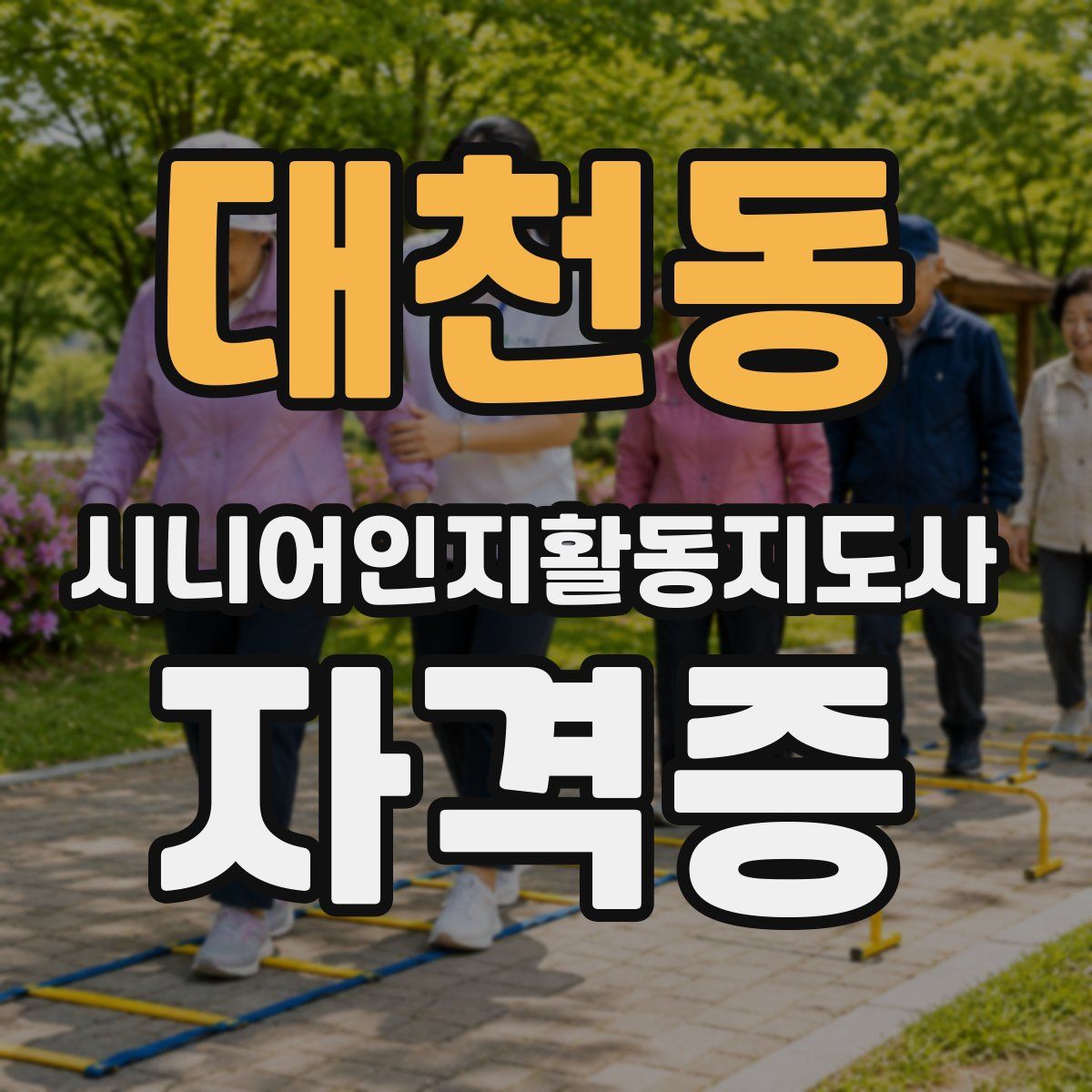 대천동 시니어인지활동지도사 자격증