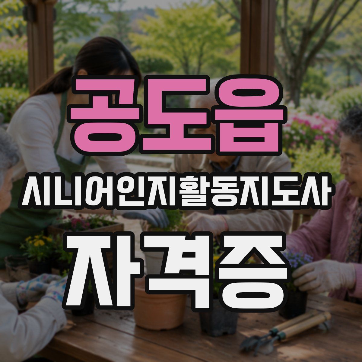 공도읍 시니어인지활동지도사 자격증