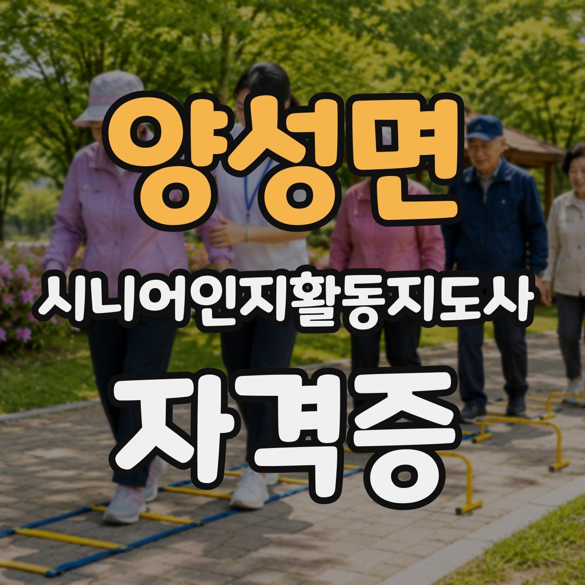 양성면 시니어인지활동지도사 자격증