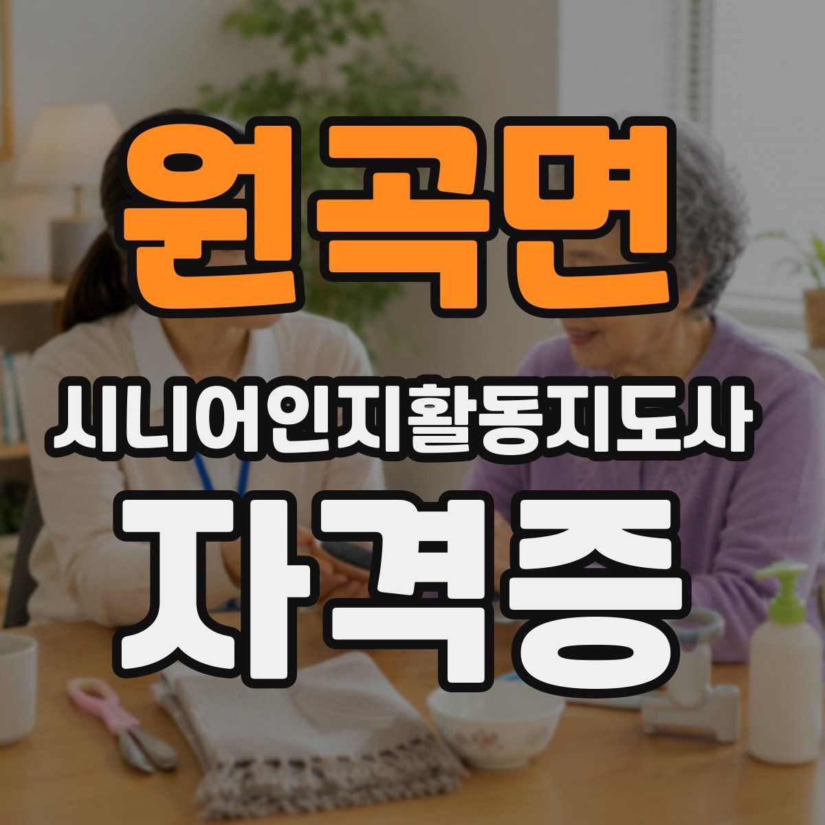 원곡면 시니어인지활동지도사 자격증