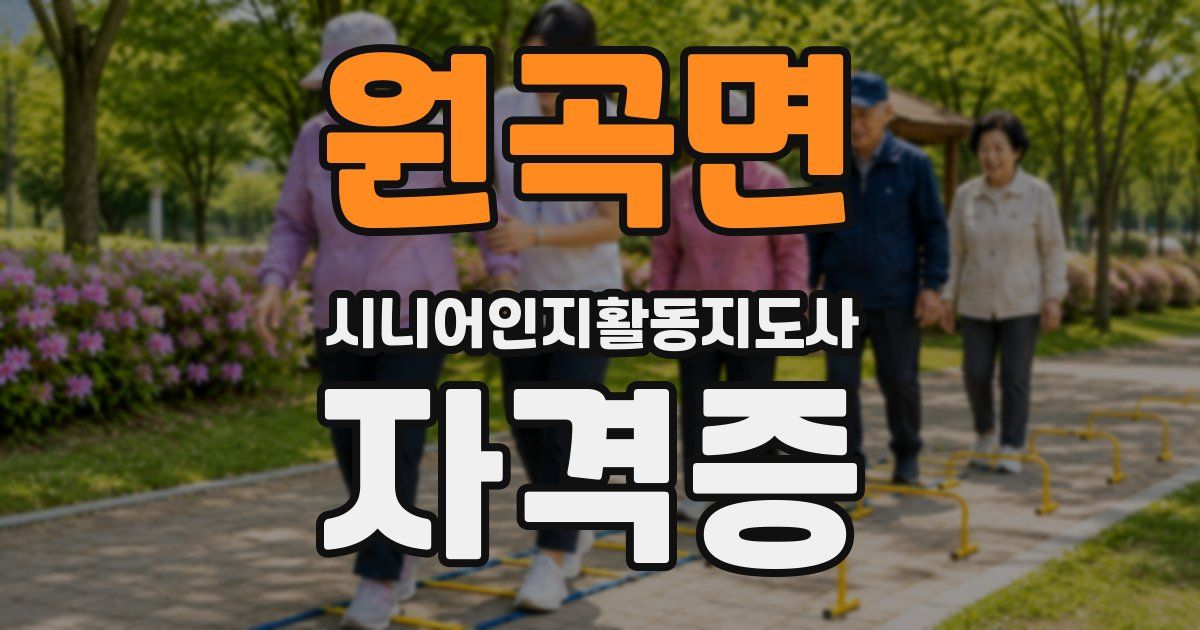 원곡면 시니어인지활동지도사 자격증