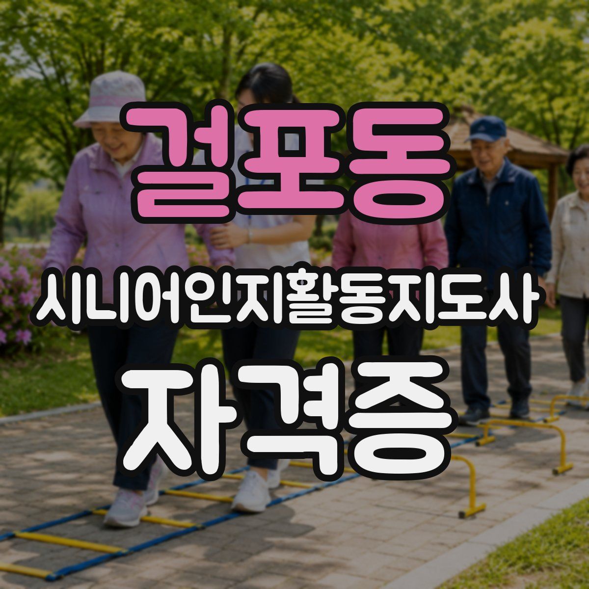 걸포동 시니어인지활동지도사 자격증