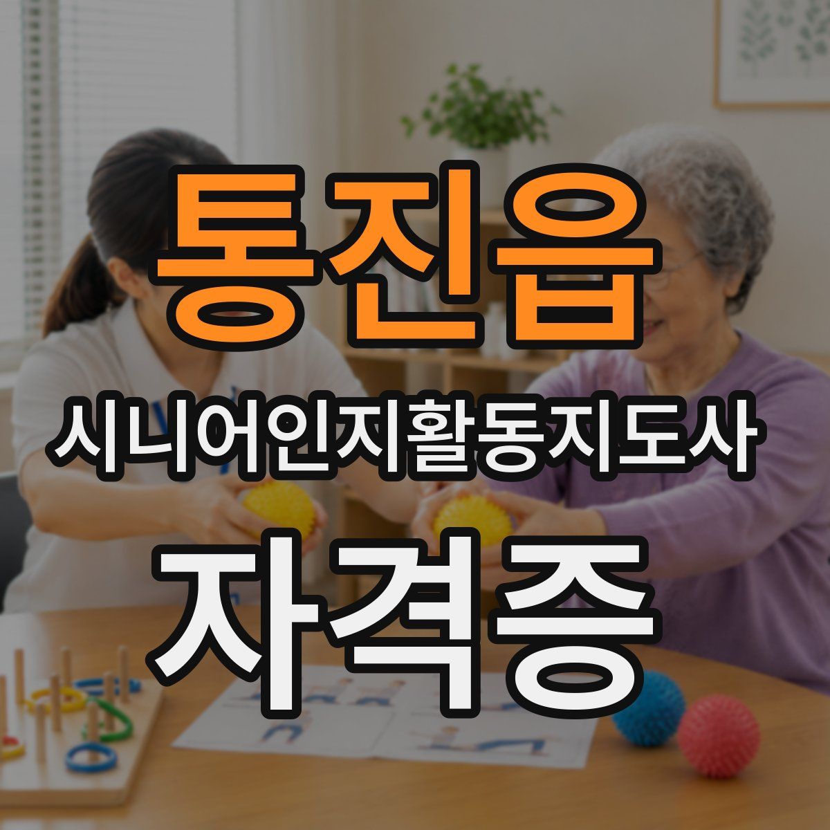 통진읍 시니어인지활동지도사 자격증