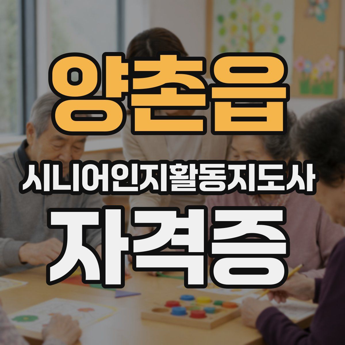 양촌읍 시니어인지활동지도사 자격증