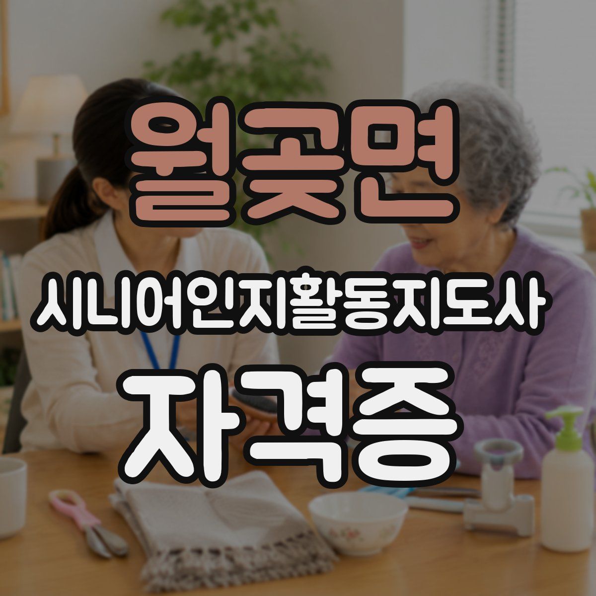 월곶면 시니어인지활동지도사 자격증