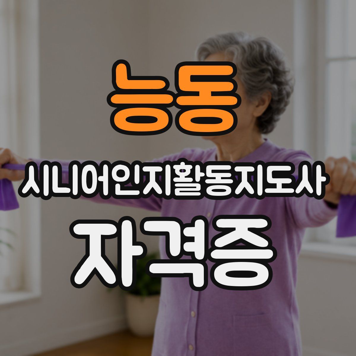 능동 시니어인지활동지도사 자격증