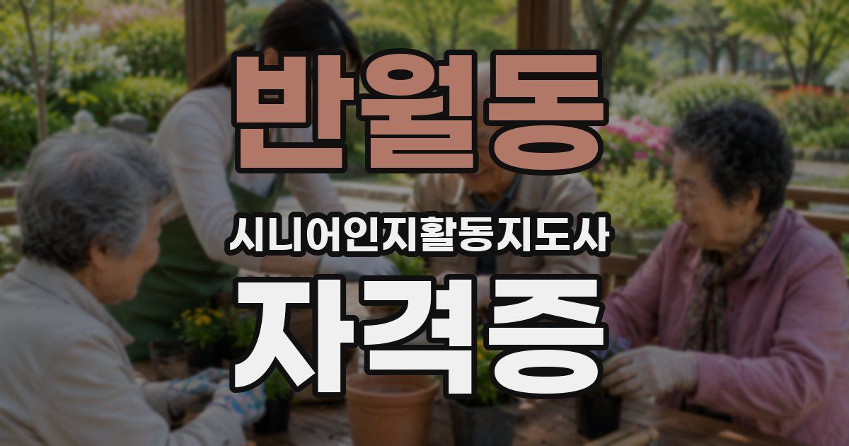 반월동 시니어인지활동지도사 자격증