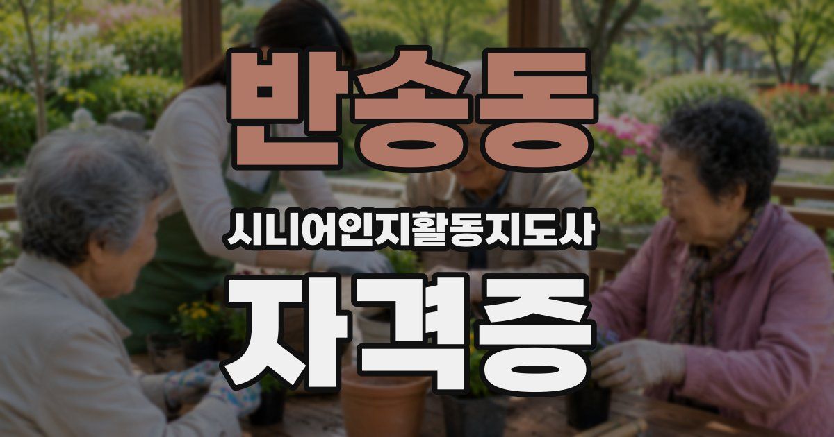 반송동 시니어인지활동지도사 자격증