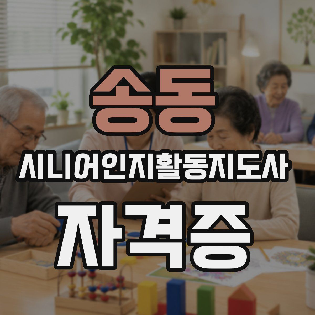 송동 시니어인지활동지도사 자격증