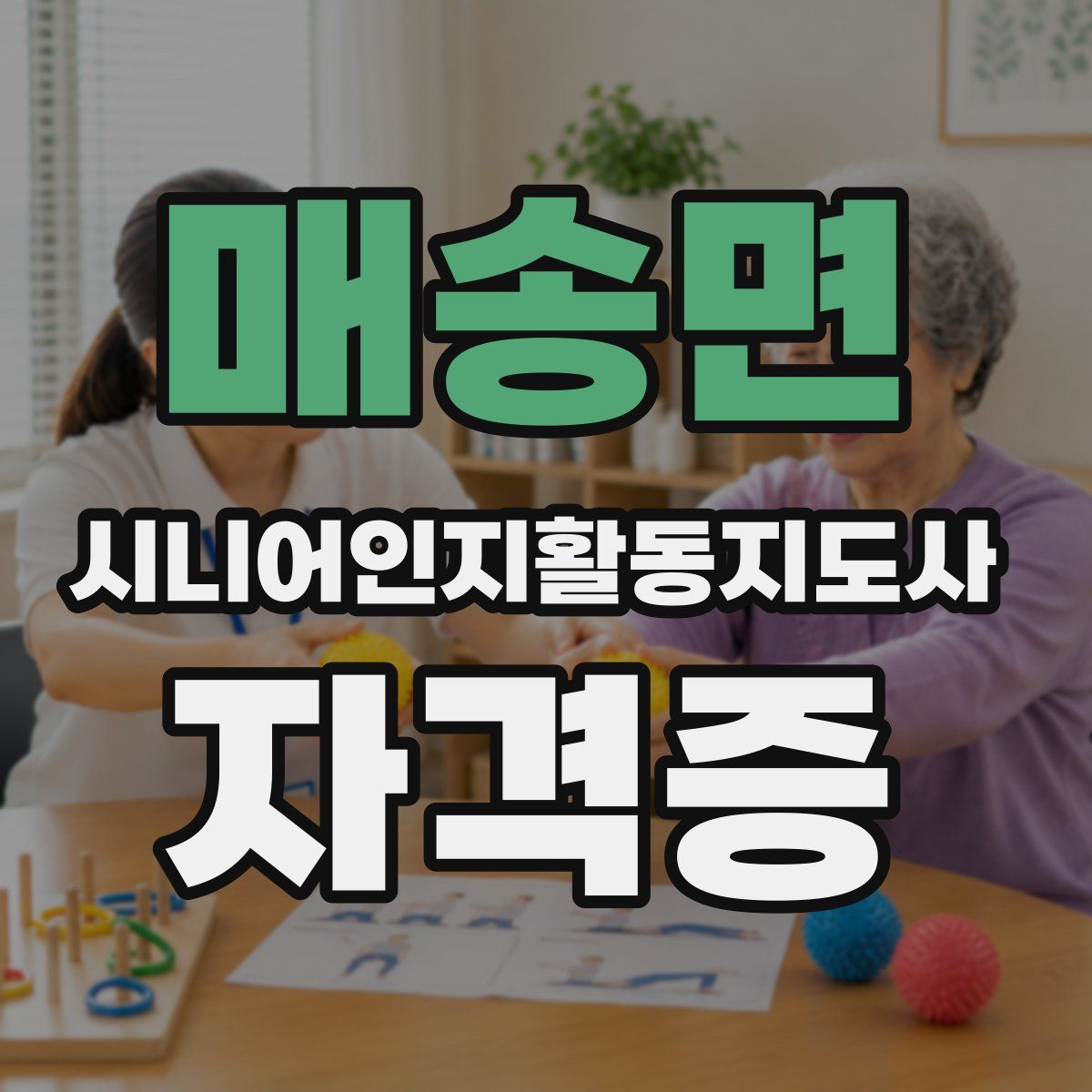 매송면 시니어인지활동지도사 자격증