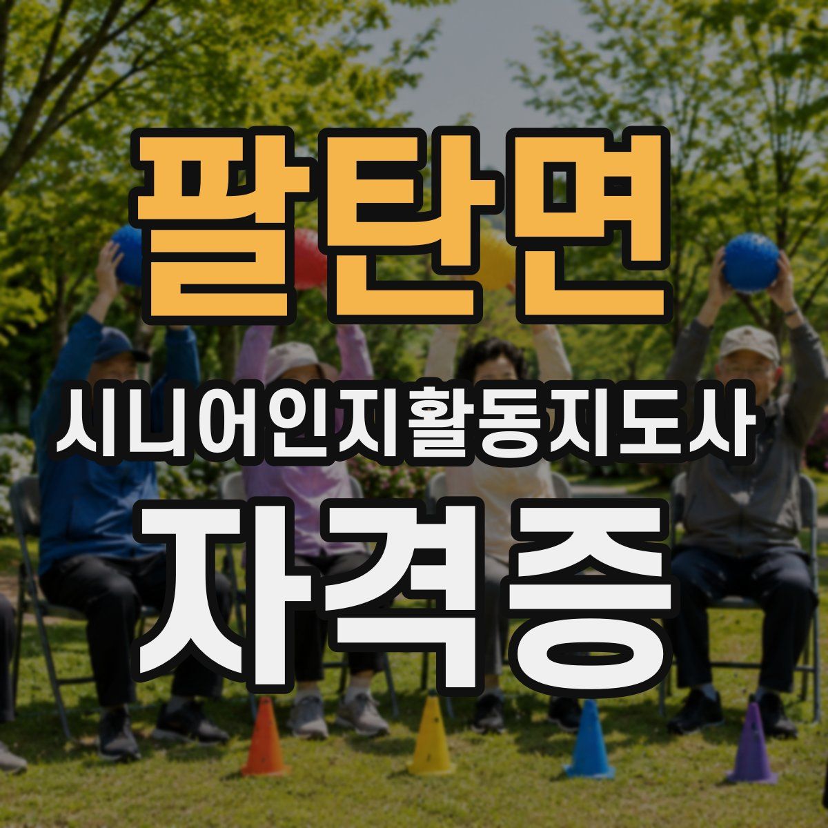 팔탄면 시니어인지활동지도사 자격증