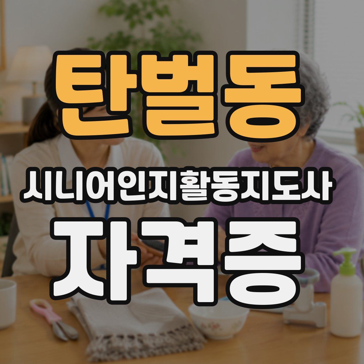 탄벌동 시니어인지활동지도사 자격증