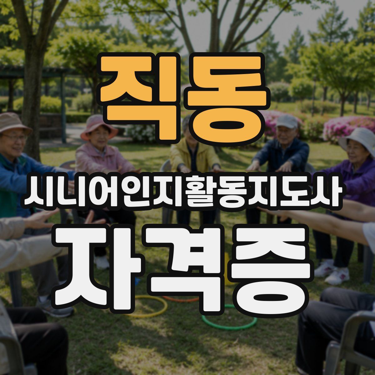 직동 시니어인지활동지도사 자격증