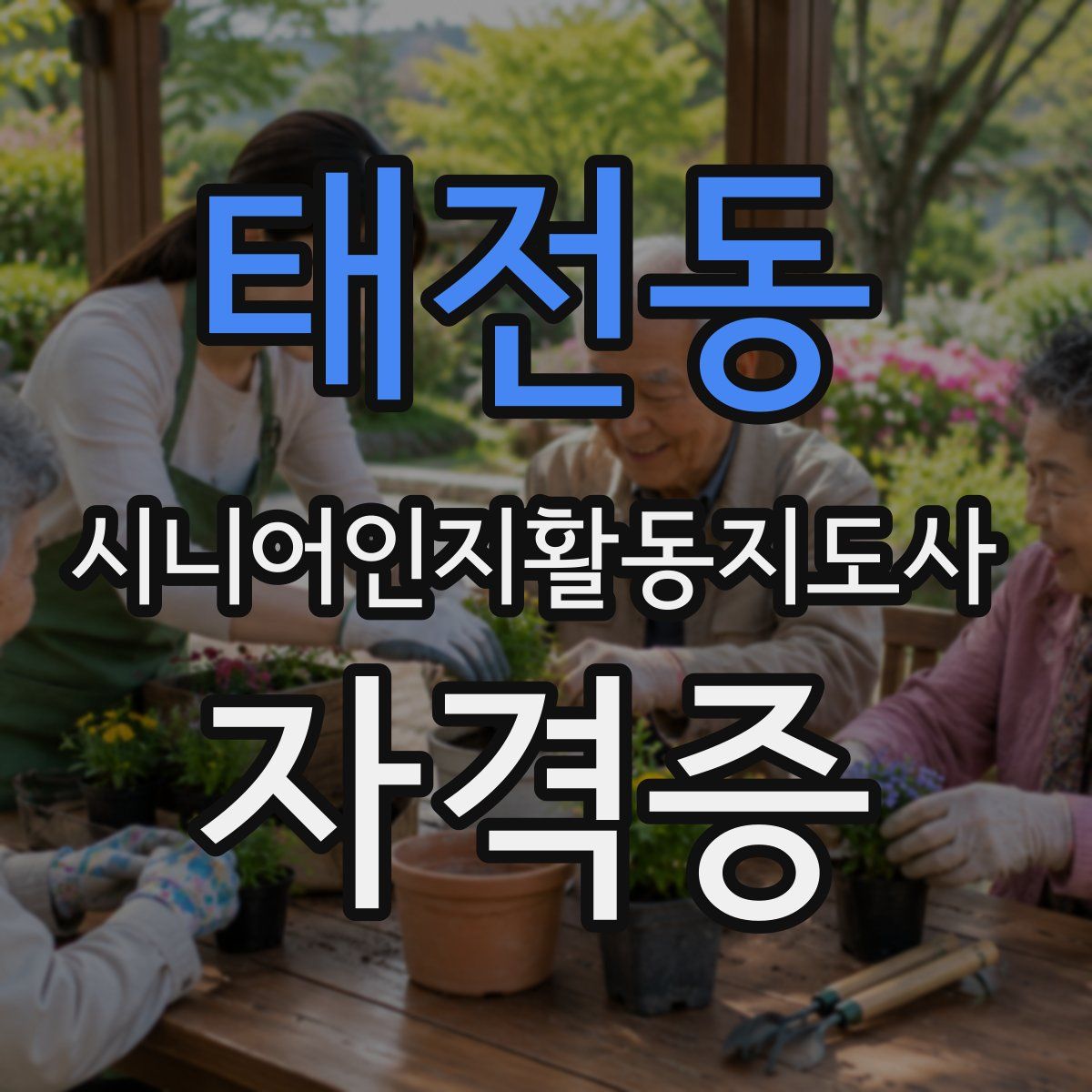 태전동 시니어인지활동지도사 자격증