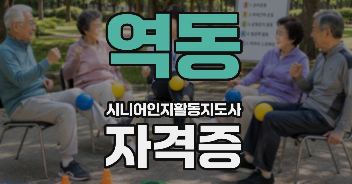 역동 시니어인지활동지도사 자격증