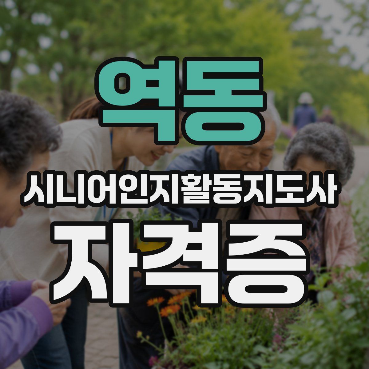 역동 시니어인지활동지도사 자격증