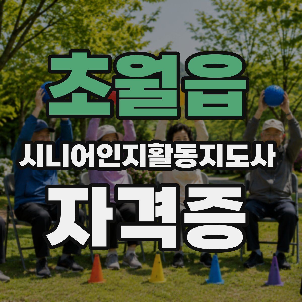 초월읍 시니어인지활동지도사 자격증