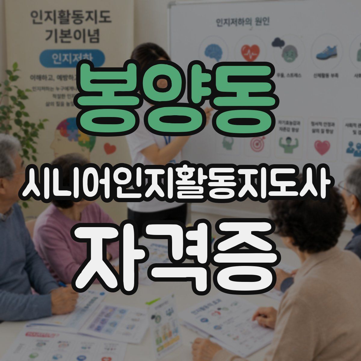 봉양동 시니어인지활동지도사 자격증