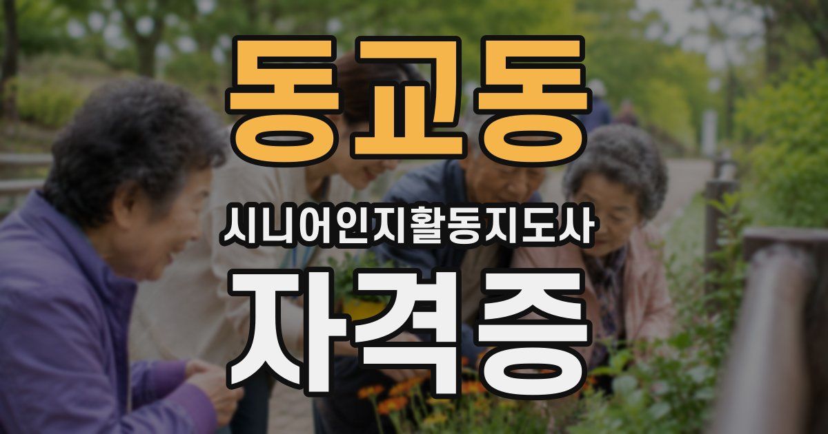 동교동 시니어인지활동지도사 자격증