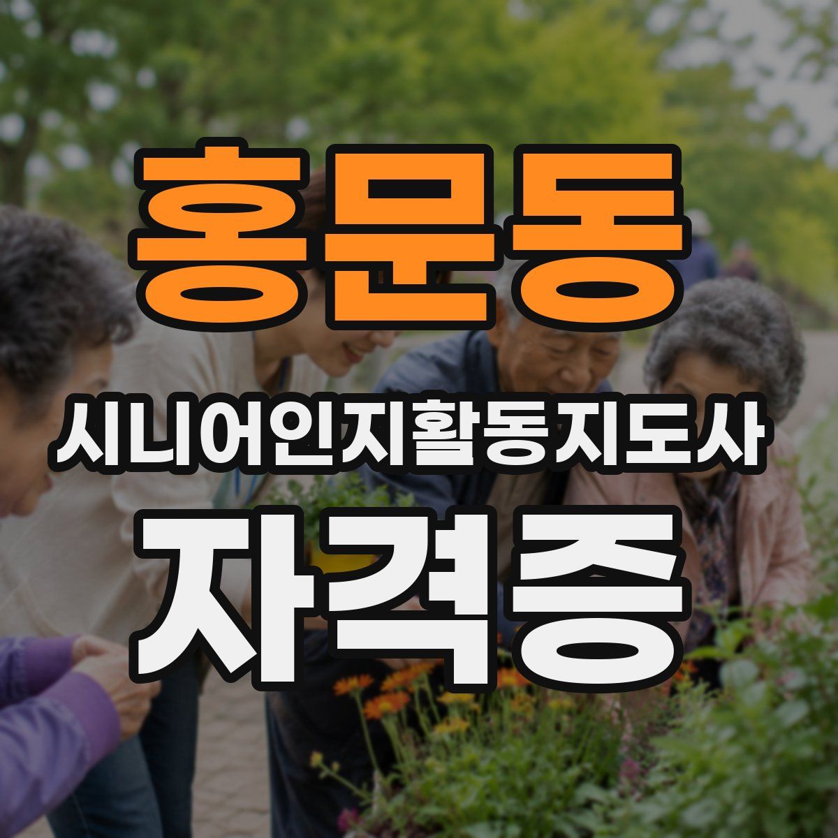 홍문동 시니어인지활동지도사 자격증