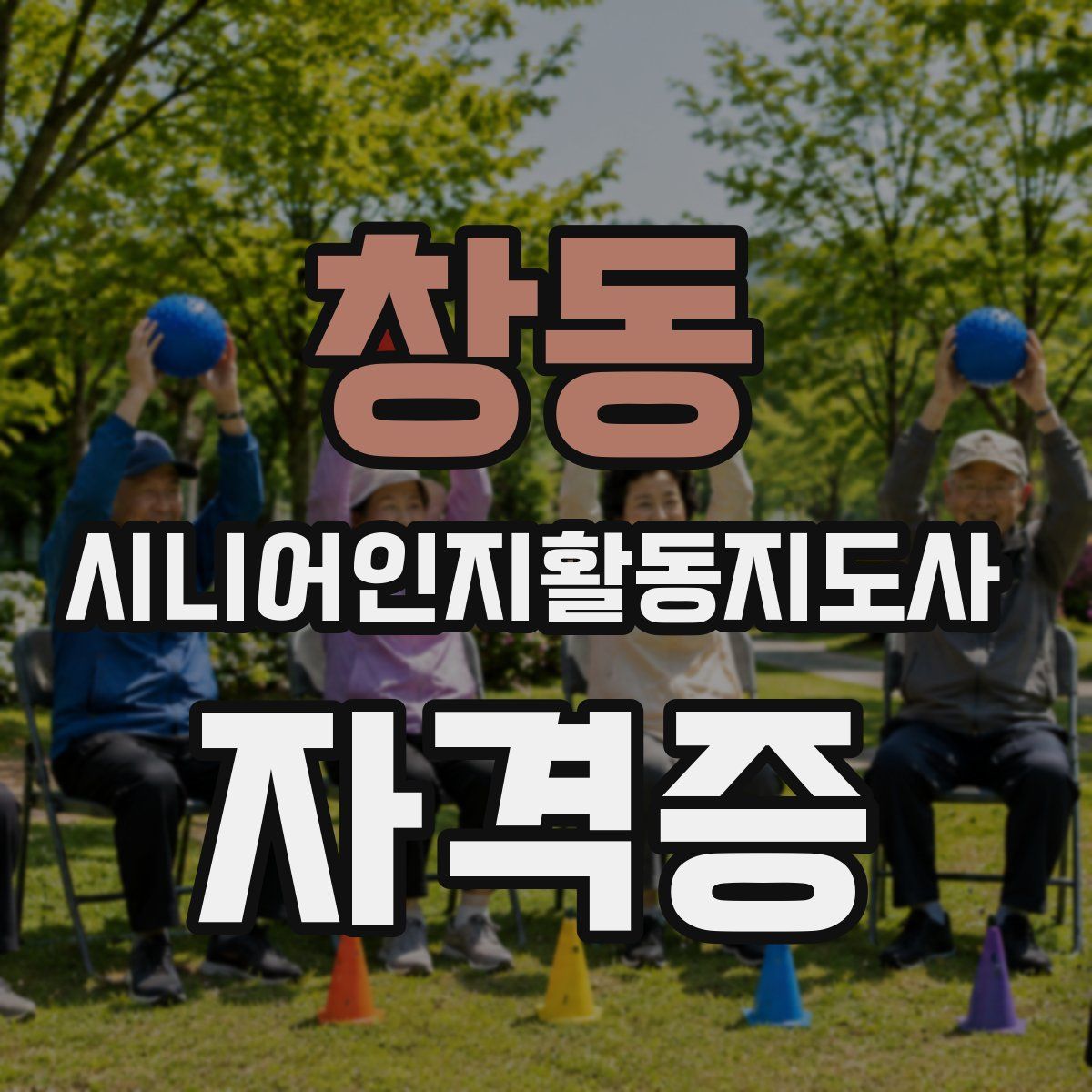 창동 시니어인지활동지도사 자격증