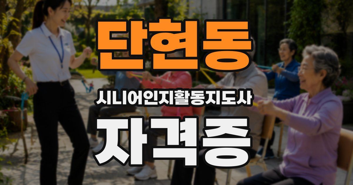 단현동 시니어인지활동지도사 자격증