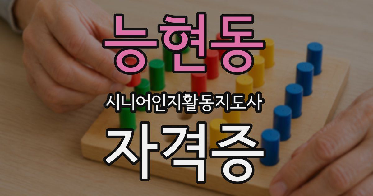 능현동 시니어인지활동지도사 자격증