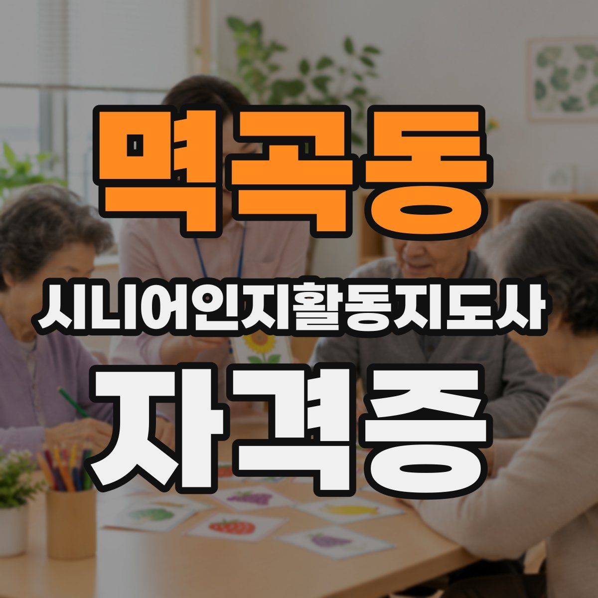 멱곡동 시니어인지활동지도사 자격증