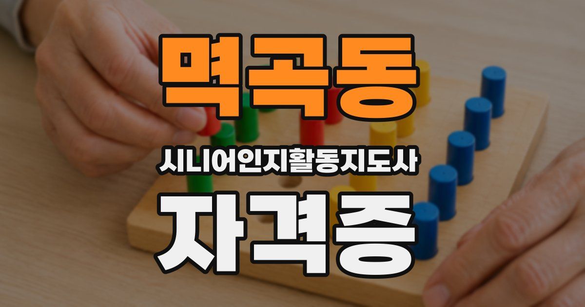 멱곡동 시니어인지활동지도사 자격증