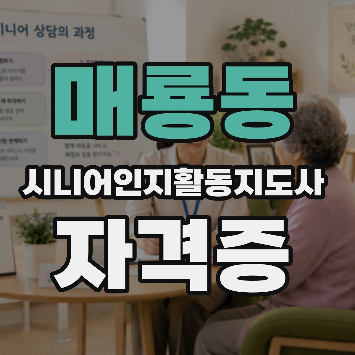 매룡동 시니어인지활동지도사 자격증