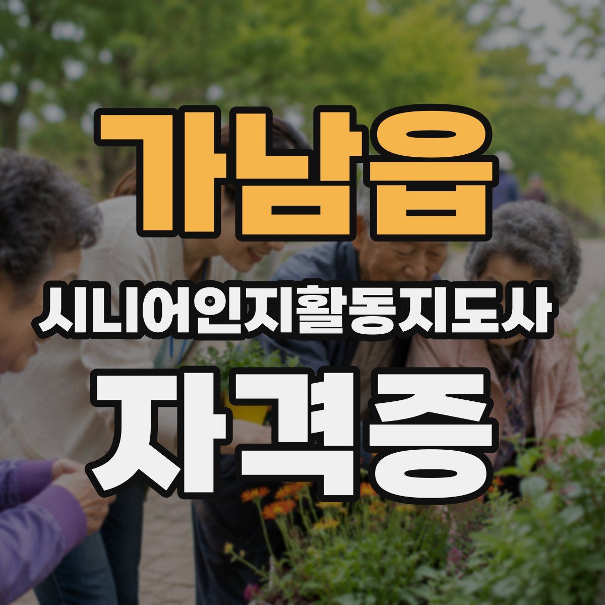 가남읍 시니어인지활동지도사 자격증