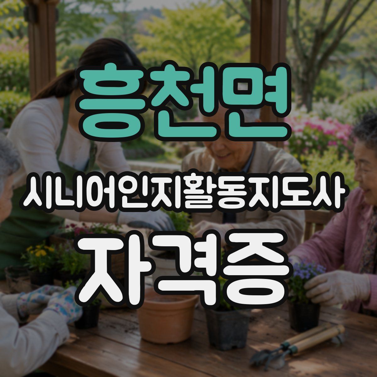 흥천면 시니어인지활동지도사 자격증