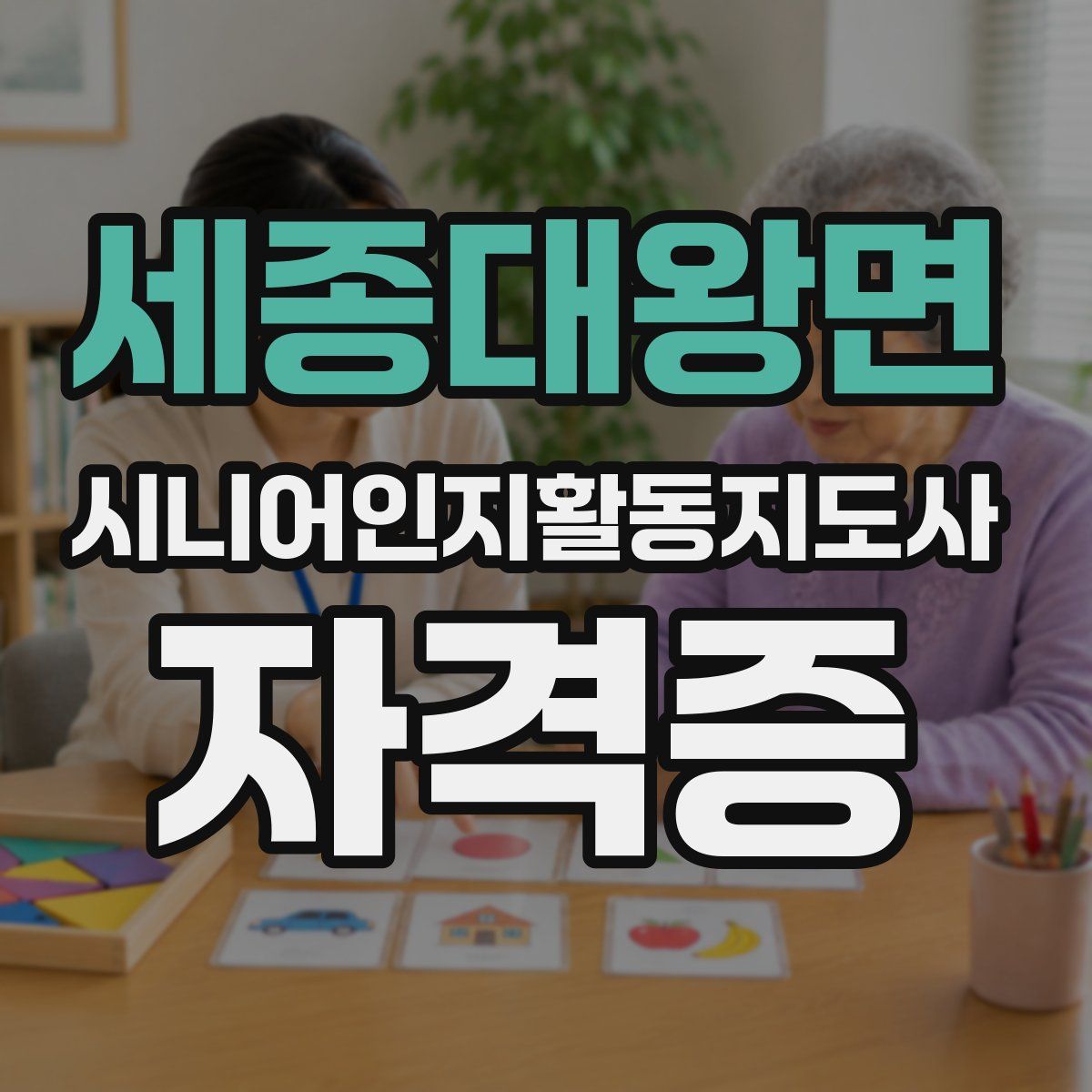 세종대왕면 시니어인지활동지도사 자격증