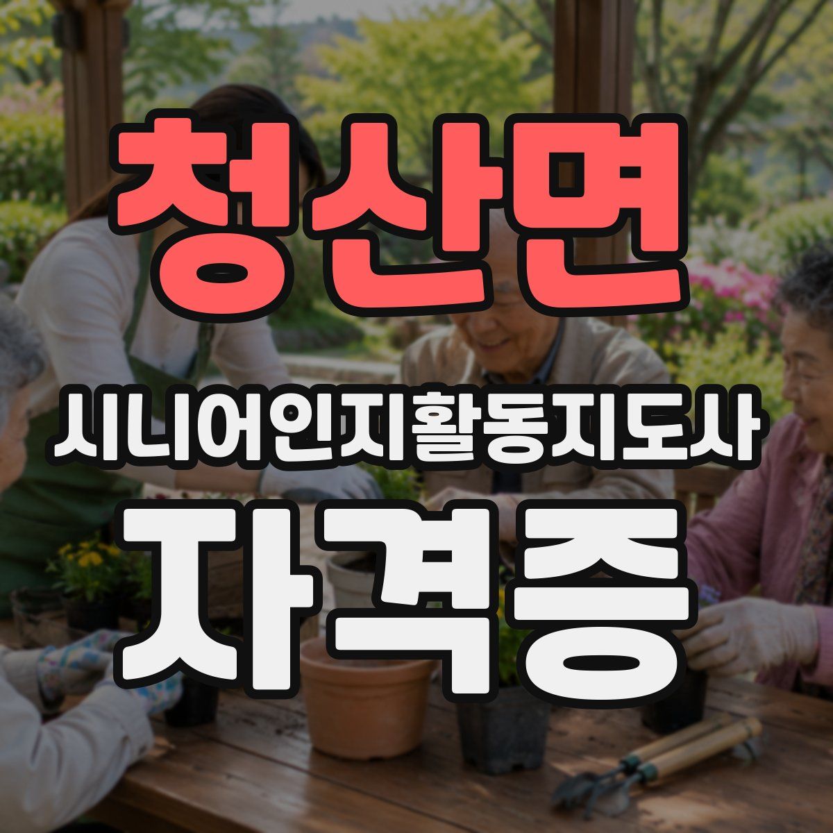 청산면 시니어인지활동지도사 자격증
