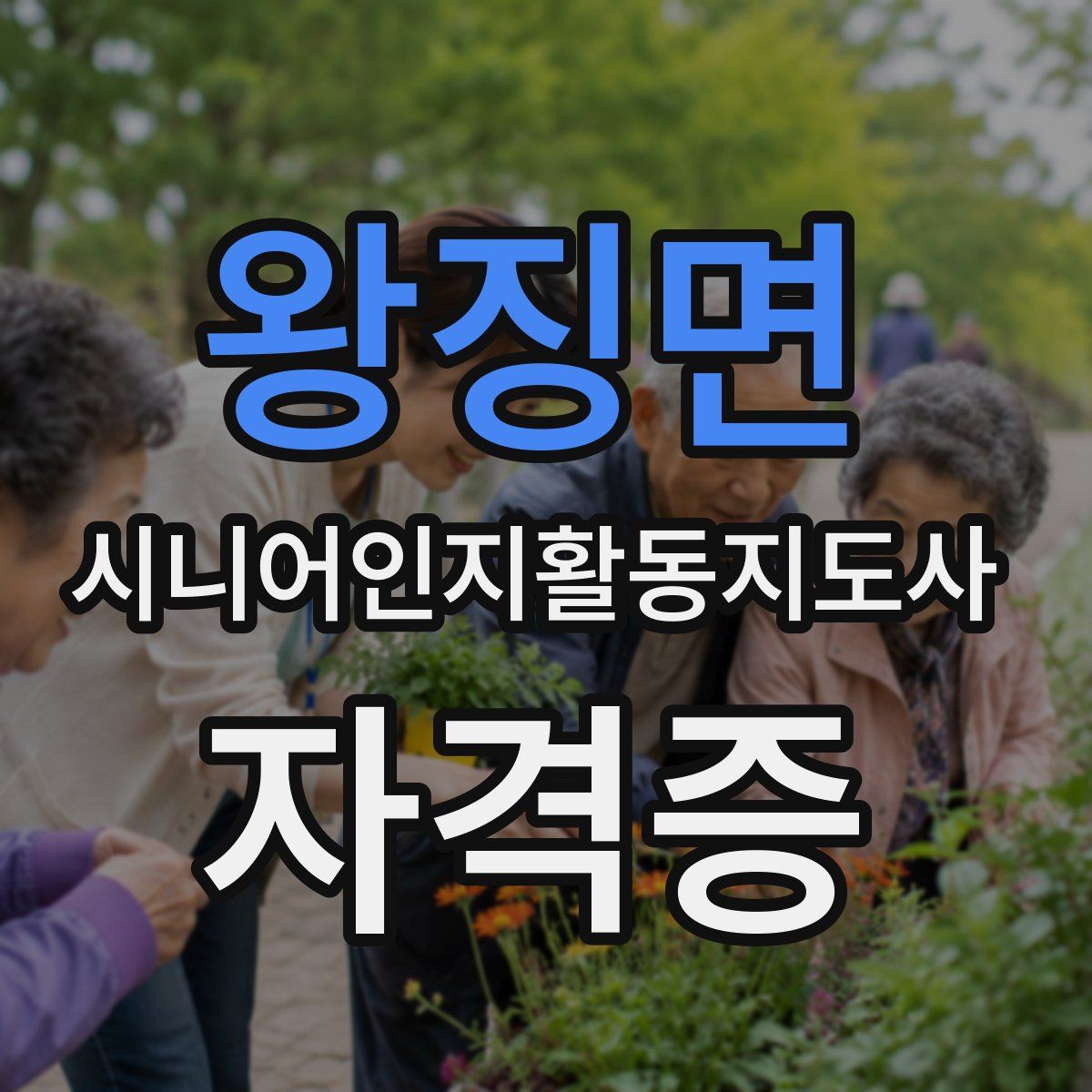왕징면 시니어인지활동지도사 자격증