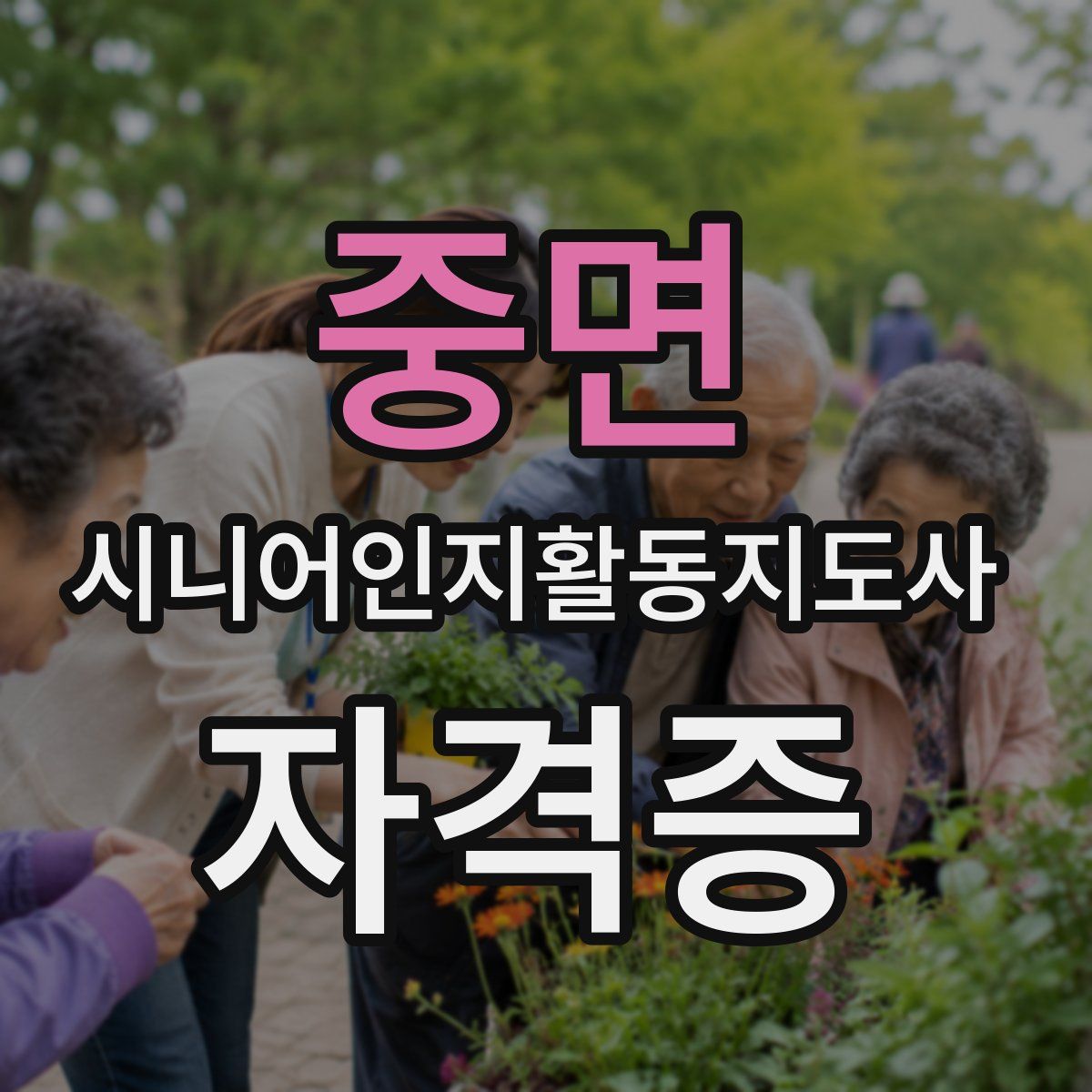 중면 시니어인지활동지도사 자격증