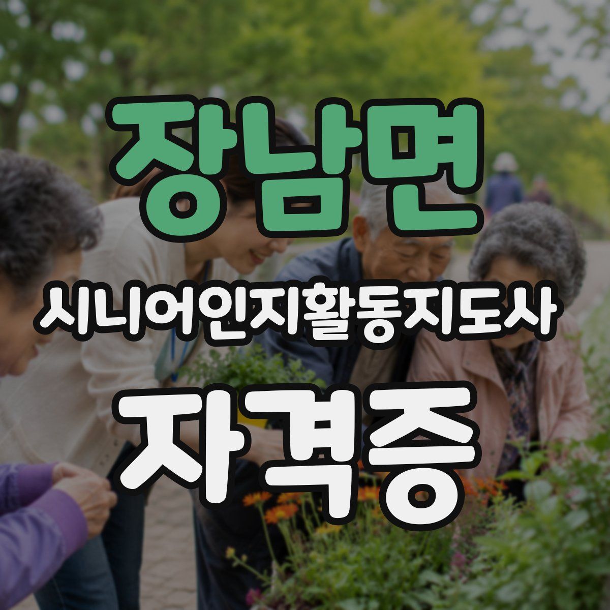 장남면 시니어인지활동지도사 자격증