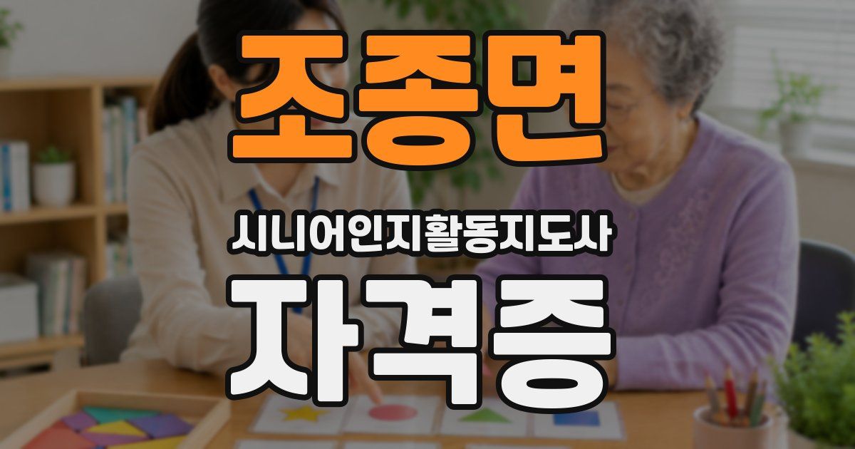 조종면 시니어인지활동지도사 자격증