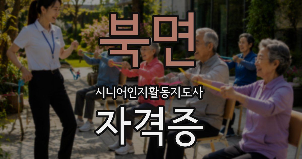 북면 시니어인지활동지도사 자격증