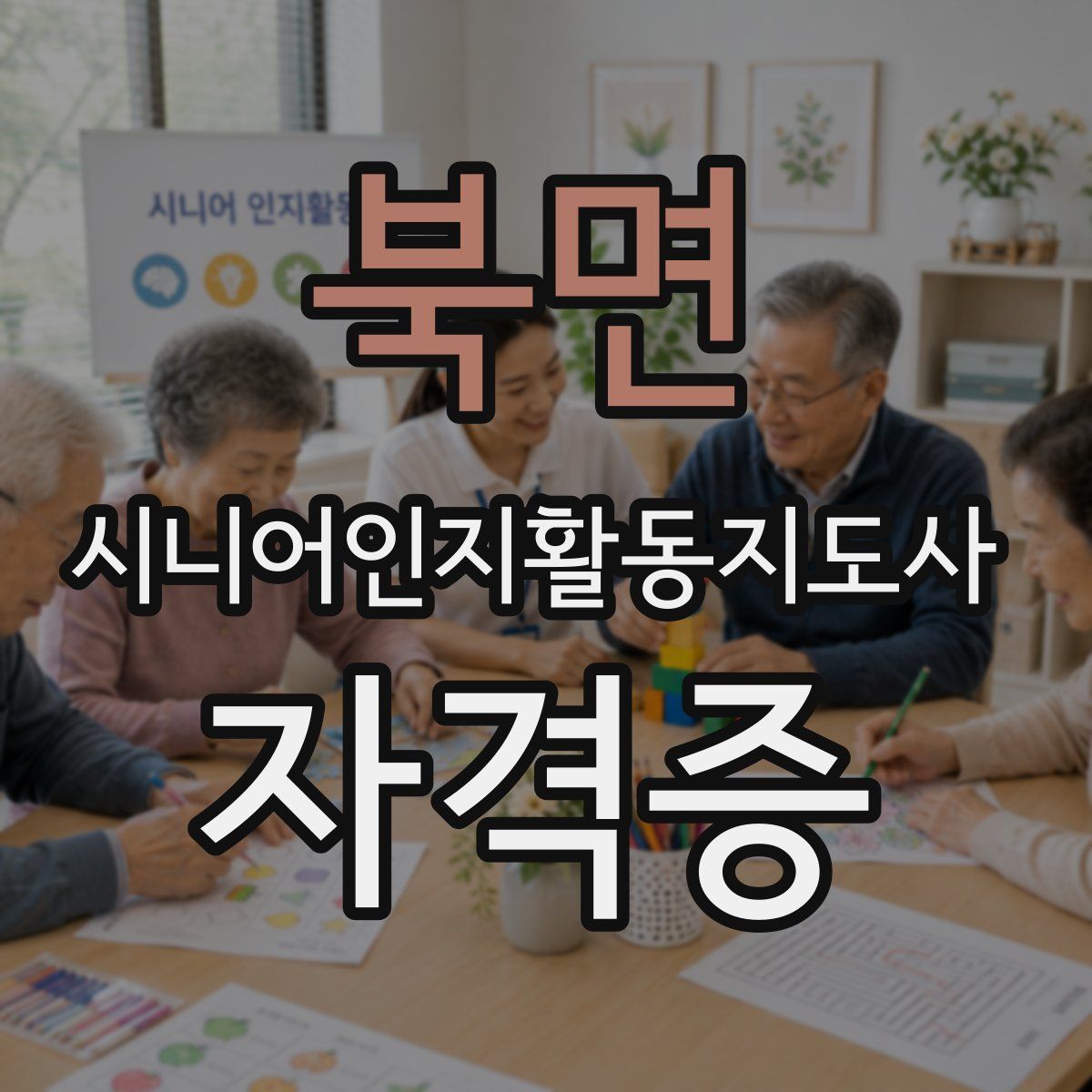 북면 시니어인지활동지도사 자격증