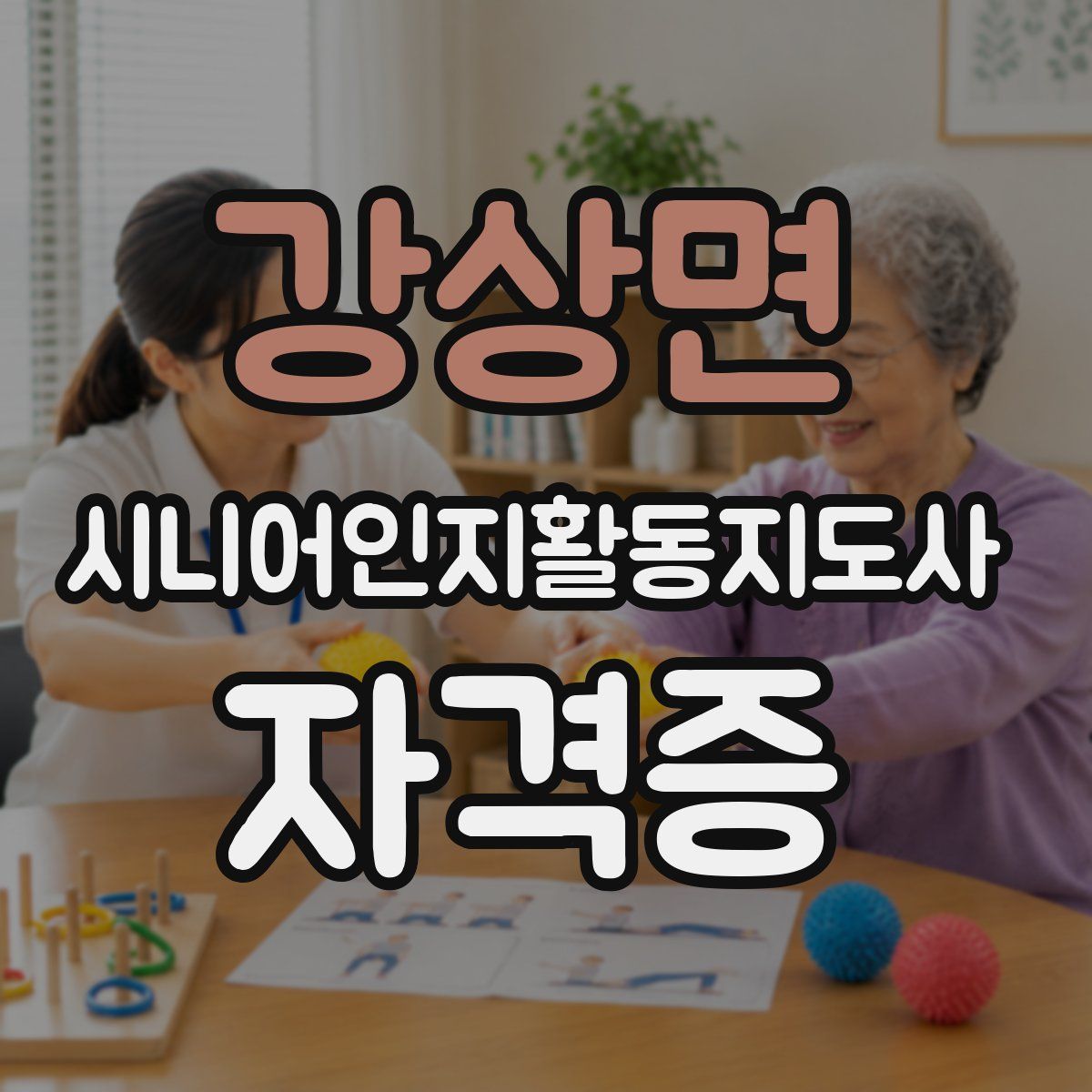 강상면 시니어인지활동지도사 자격증
