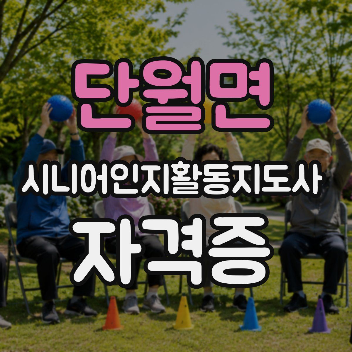 단월면 시니어인지활동지도사 자격증